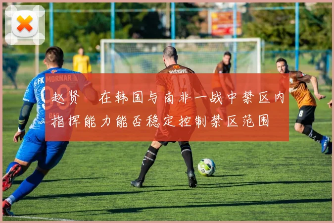 赵贤祐在韩国与南非一战中禁区内指挥能力能否稳定控制禁区范围