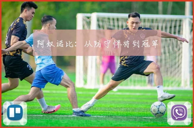 阿奴诺比：从防守悍将到冠军