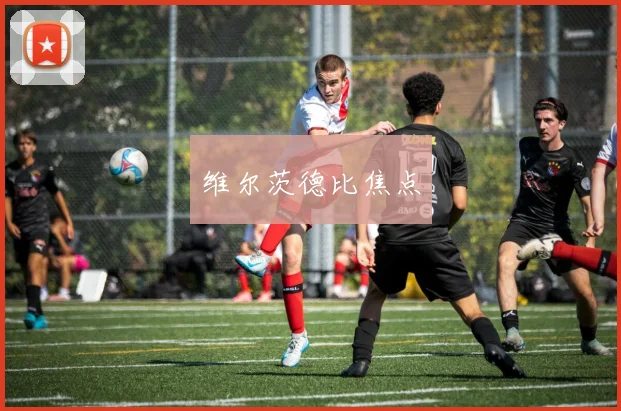 维尔茨德比焦点