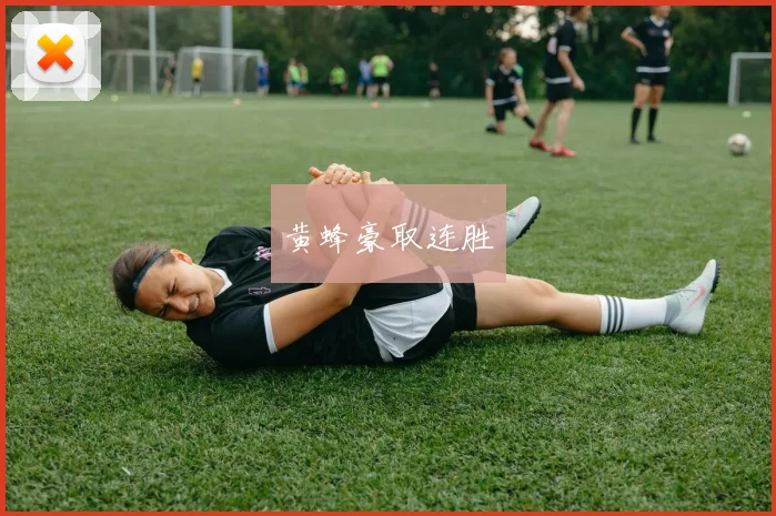 黄蜂豪取连胜