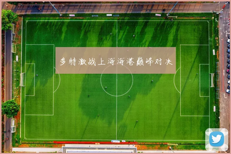 多特激战上海海港巅峰对决
