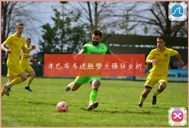 津巴布韦连胜势头强劲分析