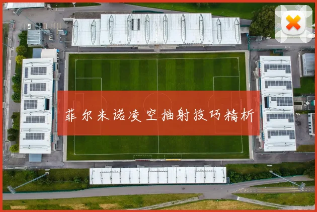 菲尔米诺凌空抽射技巧精析