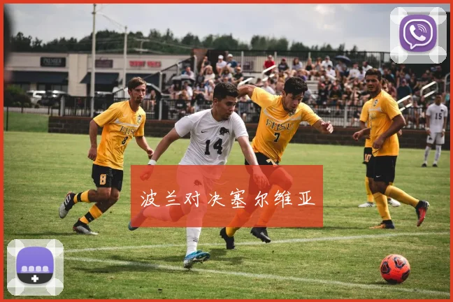 波兰对决塞尔维亚