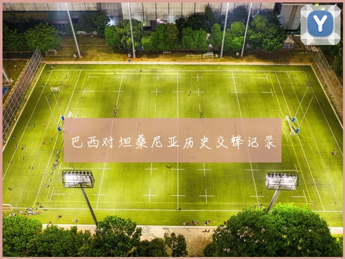 巴西对坦桑尼亚历史交锋记录