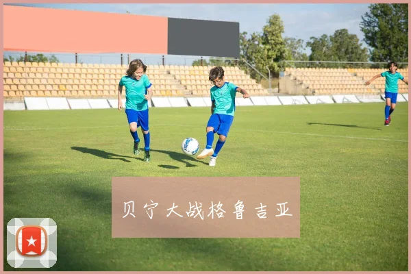 贝宁大战格鲁吉亚