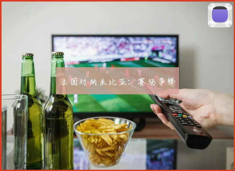 法国对纳米比亚：赛场争锋