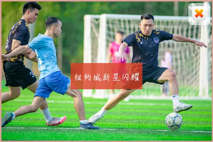 纽约城新星闪耀