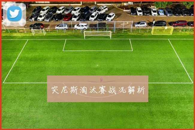 突尼斯淘汰赛战况解析