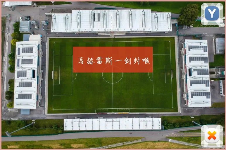 马赫雷斯一剑封喉