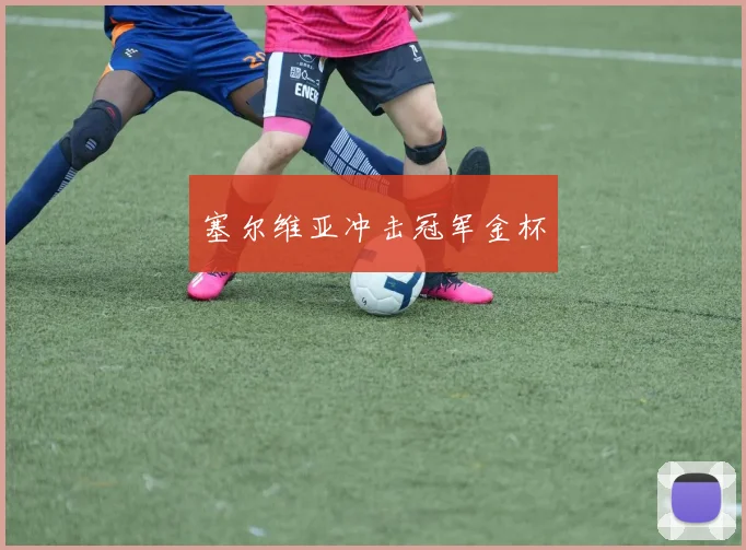 塞尔维亚冲击冠军金杯