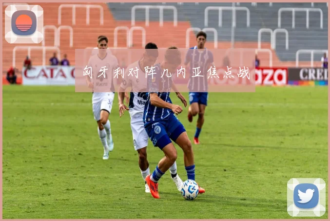匈牙利对阵几内亚焦点战