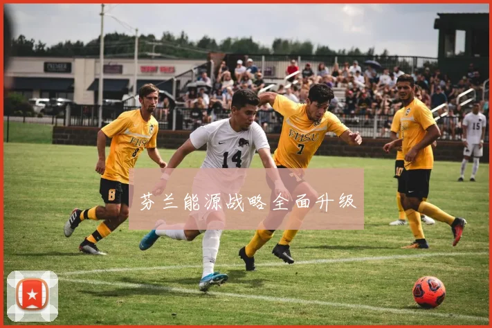 芬兰能源战略全面升级