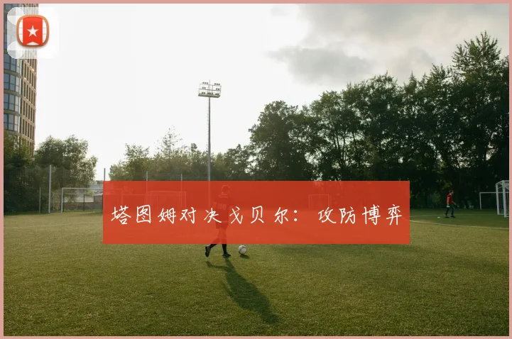 塔图姆对决戈贝尔：攻防博弈