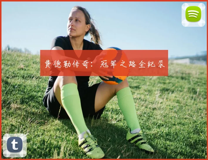 费德勒传奇：冠军之路全纪录
