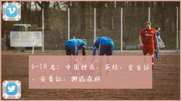 6-10 名：中国狸花、英短、金吉拉、安哥拉、挪威森林