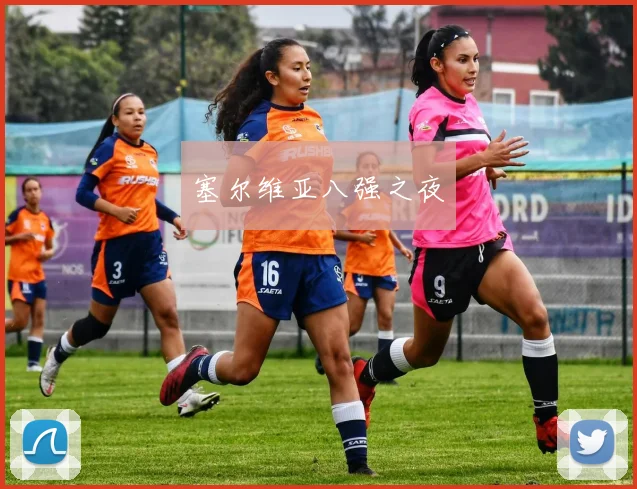 塞尔维亚八强之夜