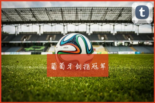 葡萄牙剑指冠军