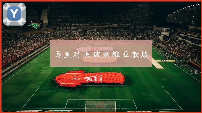 马里对决玻利维亚激战