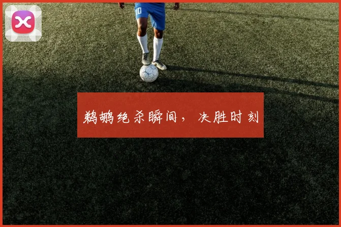 鹈鹕绝杀瞬间，决胜时刻