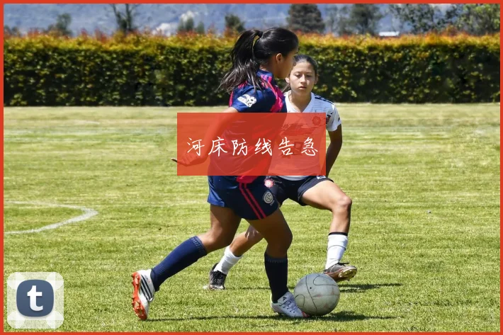 河床防线告急
