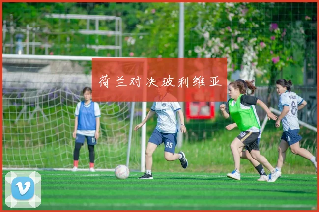 荷兰对决玻利维亚