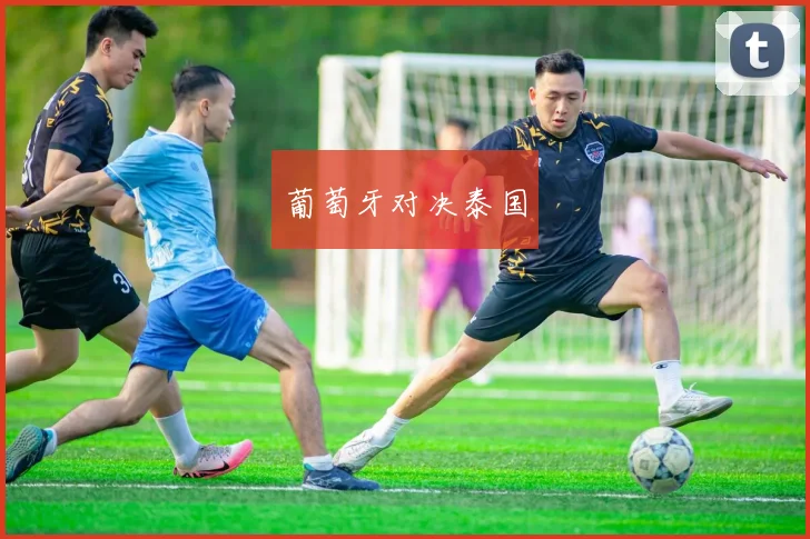 葡萄牙对决泰国