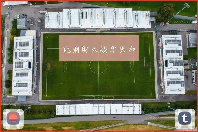 比利时大战牙买加