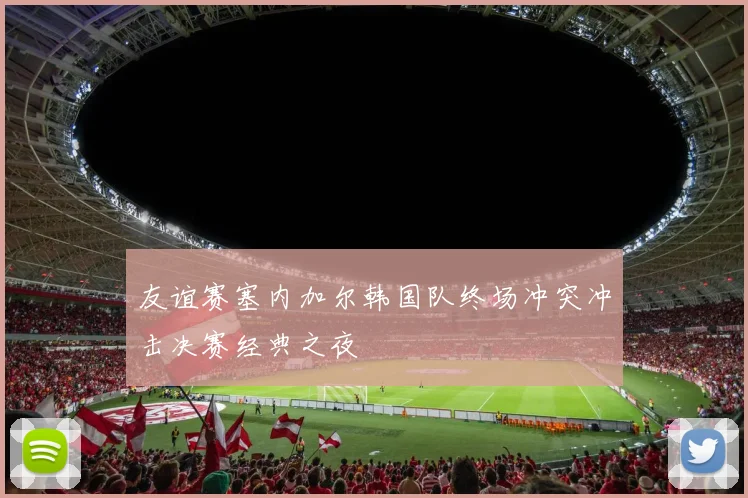 友谊赛塞内加尔韩国队终场冲突冲击决赛经典之夜