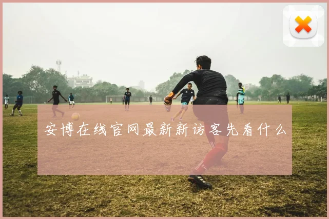 安博在线官网最新新访客先看什么